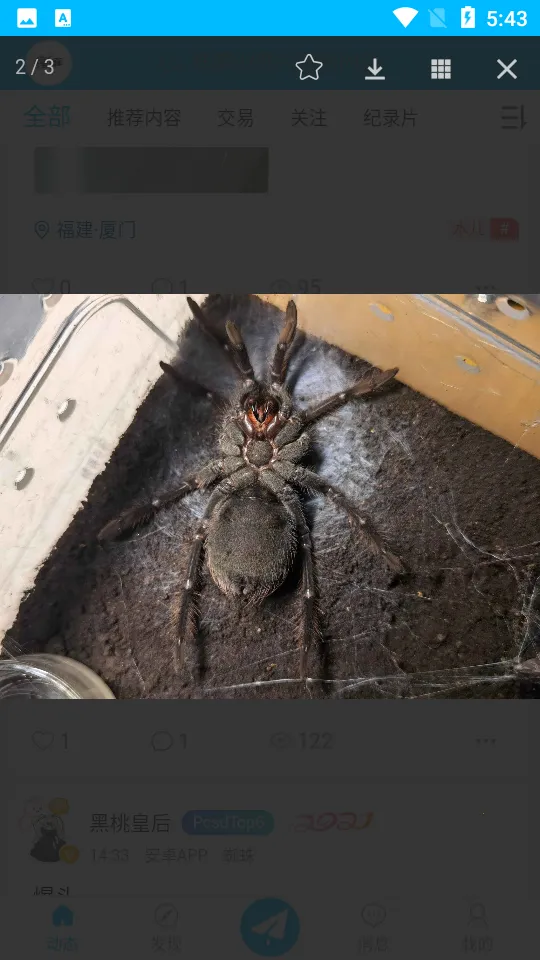 ����ʱ��