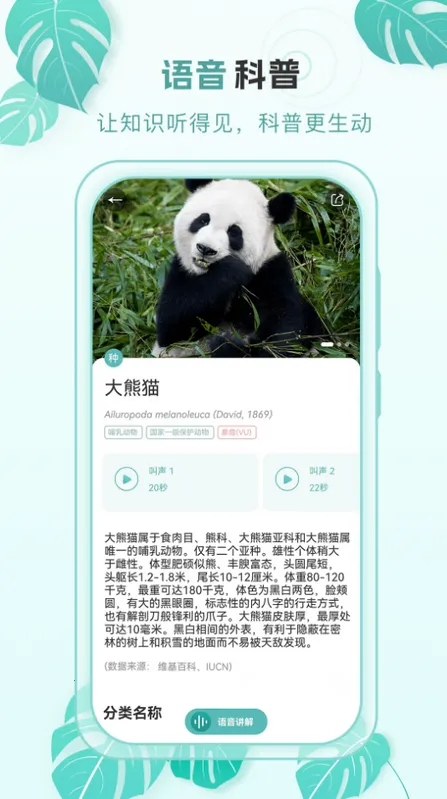 �ٿ�����