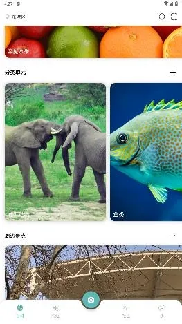 �ٿ�����