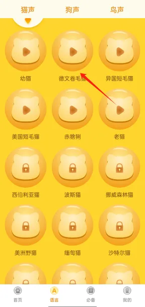 ���﷭����ȫ������