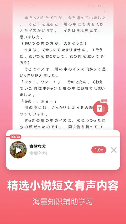 �������ﱳ����2026���ذ�װ