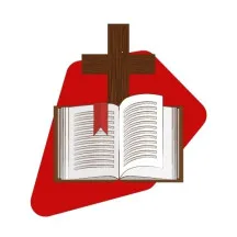 ���ڿ��������ֻ���