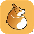 corgi���ذ�׿��