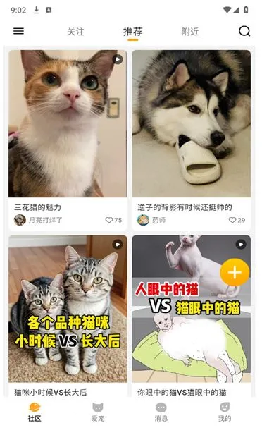 i宠家园安卓版手机版 i宠家园安卓版手机版