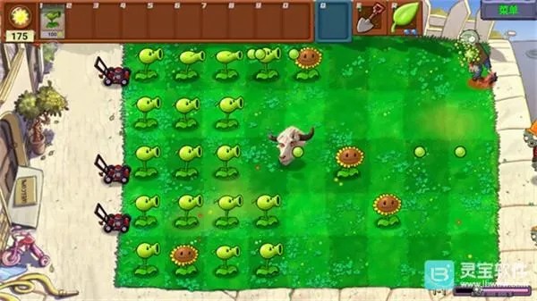 ֲ���ս��ʬţͷָ��2026���ذ�װ