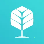 ���ſ��ڹ���