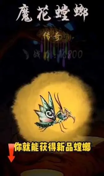 ��Ʒ������氲ȫ����