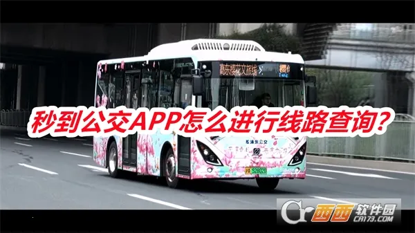 �뵽����2026�ٷ����°汾