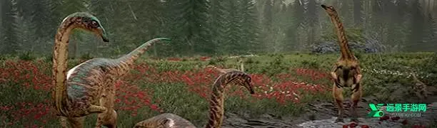 �������������