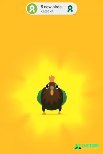 ���ĸ���pigeonpop��׿���ֻ���