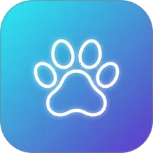 ���д���