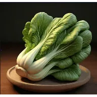 ��̷���TV2026���ذ�װ