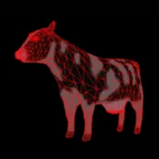 ���˻���������ģ����2026�ٷ����°汾