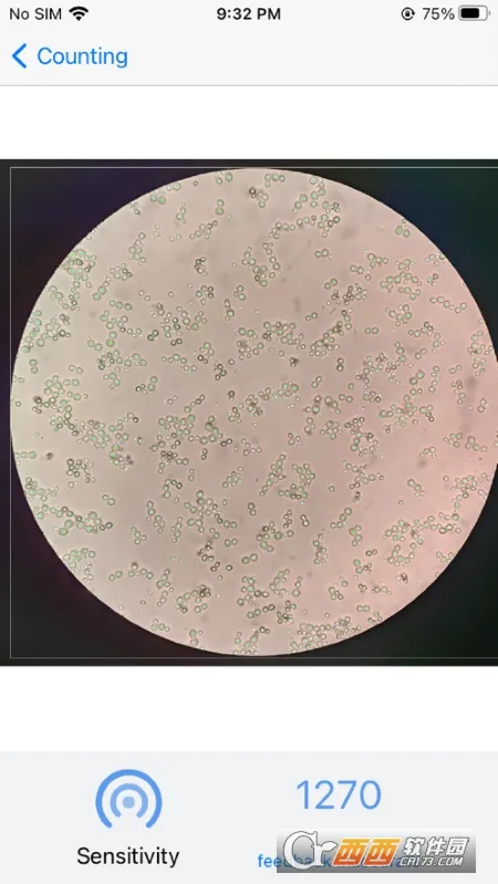 �������2026���ذ�װ