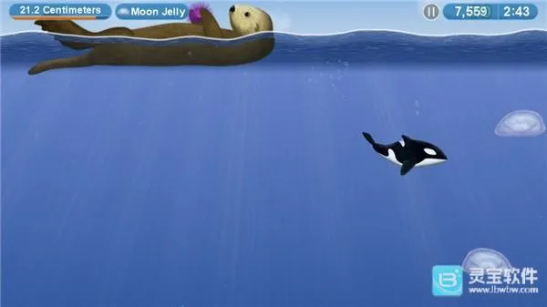 ��ζ����4