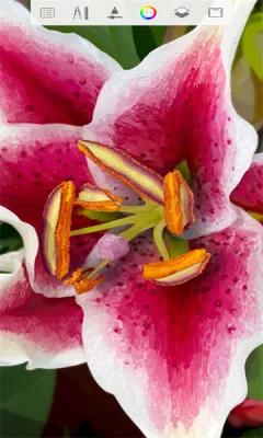 �滭����2026�ٷ�����