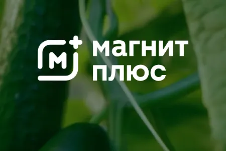 Magnit�̳ǰ�׿���ֻ���