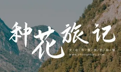 �ֻ��üǰ�׿���ֻ���