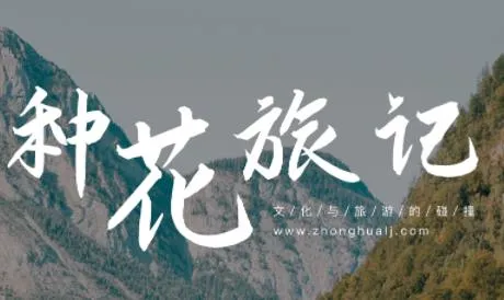 �ֻ��üǰ�׿���ֻ���