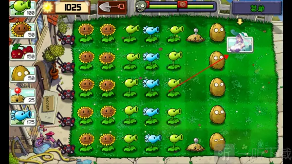 ׯ����ֲ���ս��ʬ