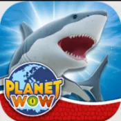 ��������2026���°汾