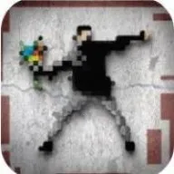 ���Ҷ���