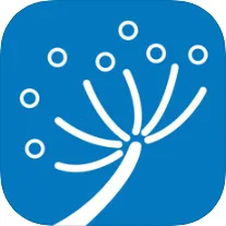 �й���������