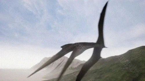 ���������ֻ�������