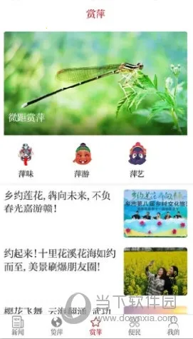 ���Ƽ�簲׿���ֻ���