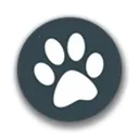 ���﷭��(�ı����ܹ���)