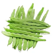 С�˶�2026�ٷ����°汾v4.1 �ٷ�����