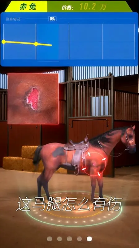 ����Ҳ������°汾3.8����