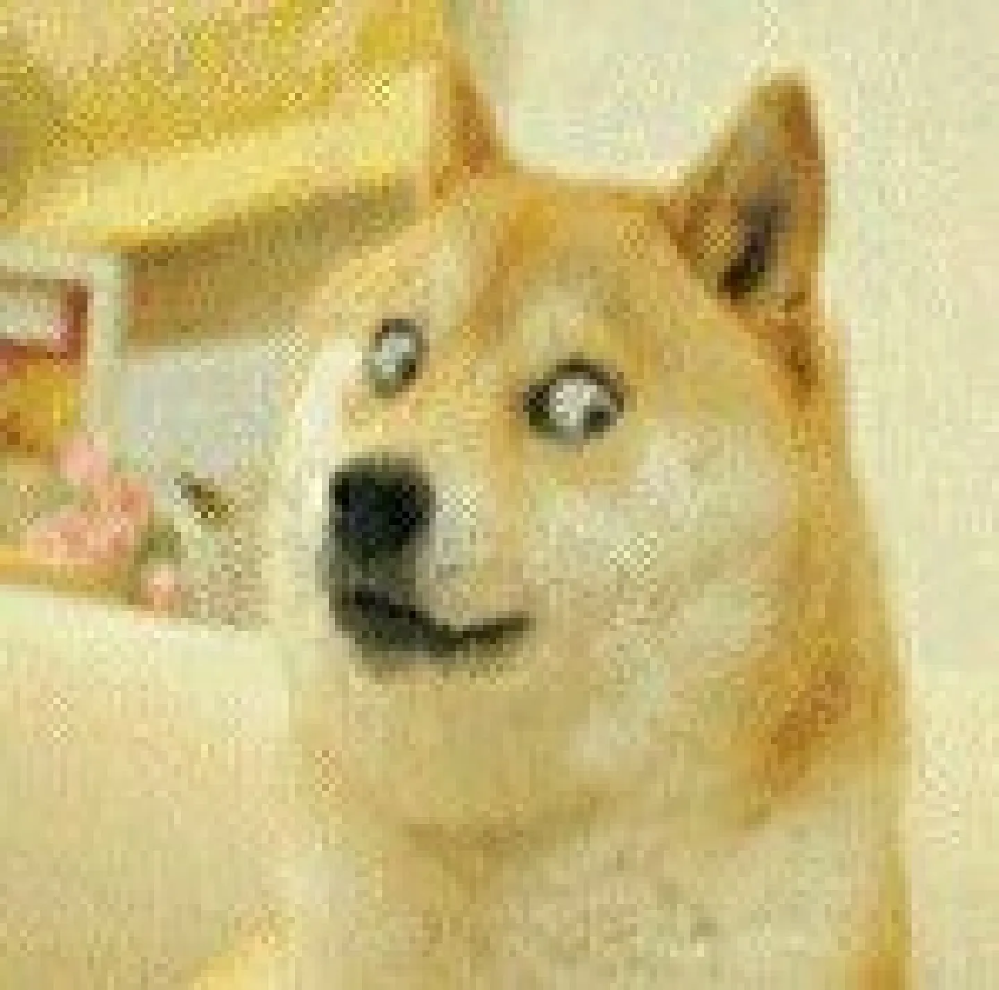 ����������1.3.5�汾