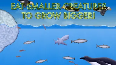 ��ζ���������