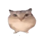 �ͰͲ�һ(δ�ἰ���幦���޷�����)v1.0 �ֻ���