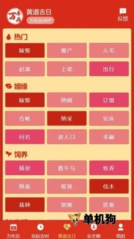 199������2026���°汾