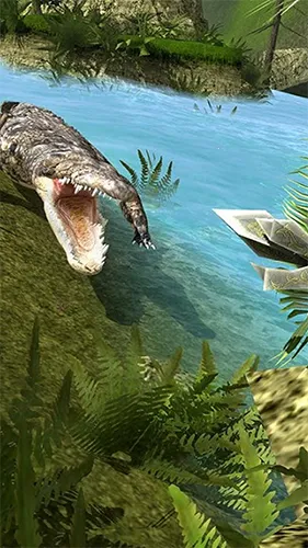 ����21������Bilibili