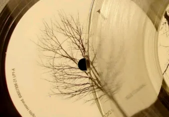 ȫ�����ֲ�����2026�ٷ�����