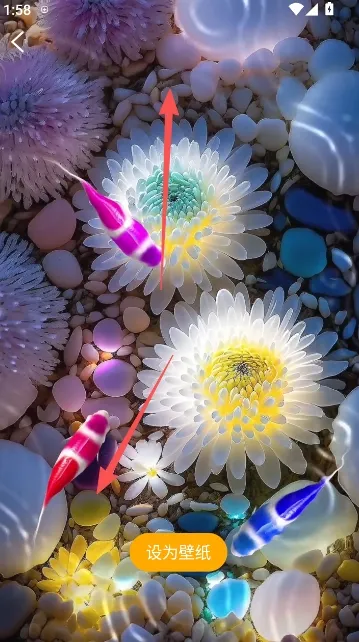 ��������ֽ2026���°汾