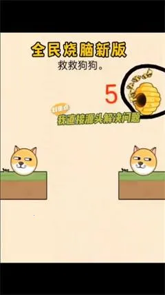 ������ͷ2026�ٷ����°汾