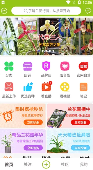 ����������2026�ٷ�����