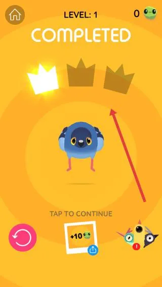 pigeon���ĸ���