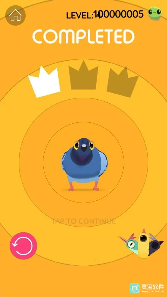 pigeon���ĸ���