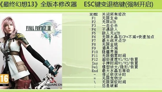 ���ջ���13(������ֲ��Ϸ)