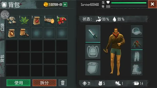 生或死生存内置修改器 生或死生存内置修改器