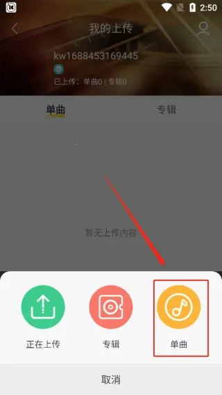 ��������(���ֲ�������)