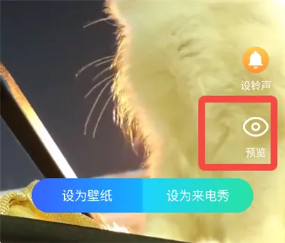 ͸��������(���Ի���������)