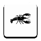 ��Ϻ��������2026���°汾