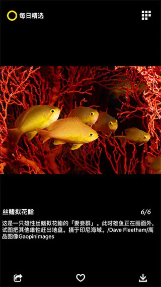 ÿ�վ�ѡ(����Ӱ��չʾ)