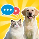 è�������﷭����(���﹵ͨӦ��)